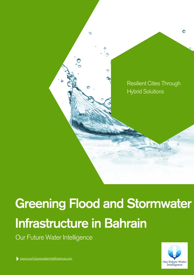 Greening Flood and Stormwater Infrastructure in Bahrain cover