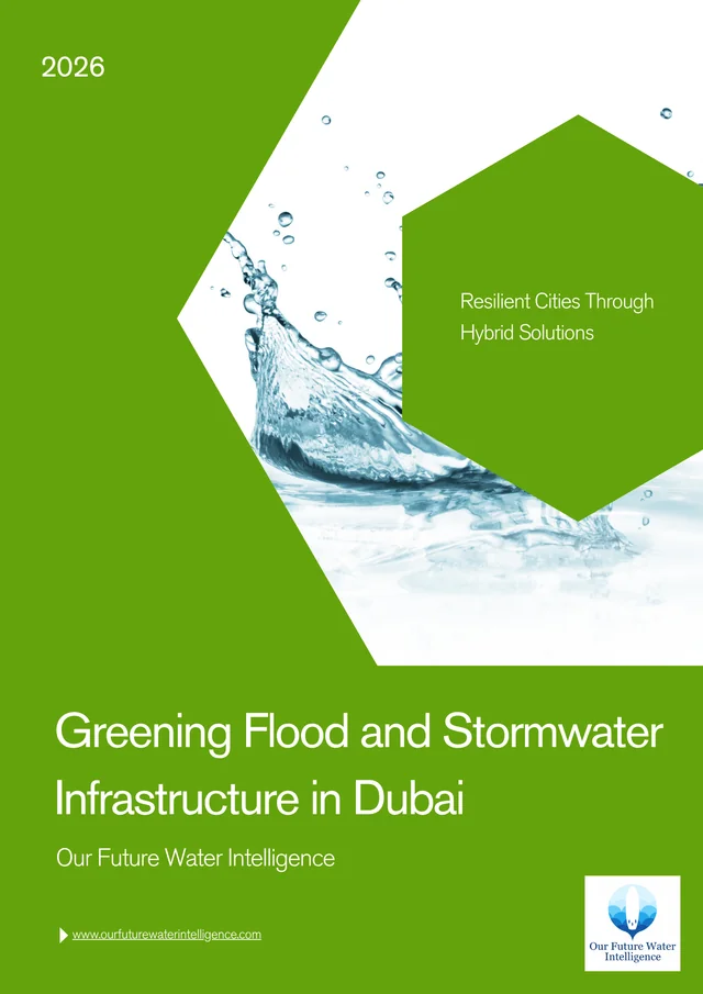 Greening Flood and Stormwater Infrastructure in Dubai cover