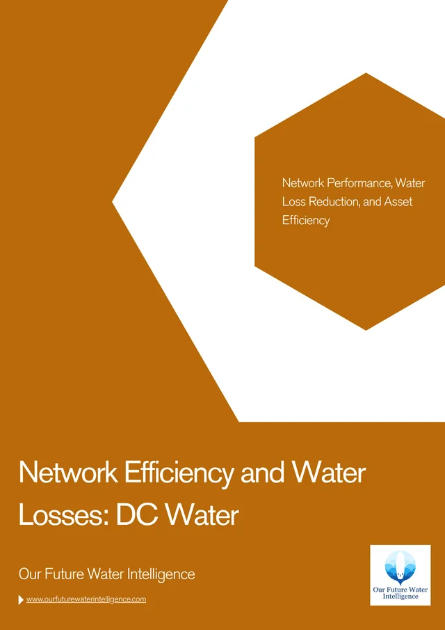 Network Efficiency and Water Losses: DC Water cover
